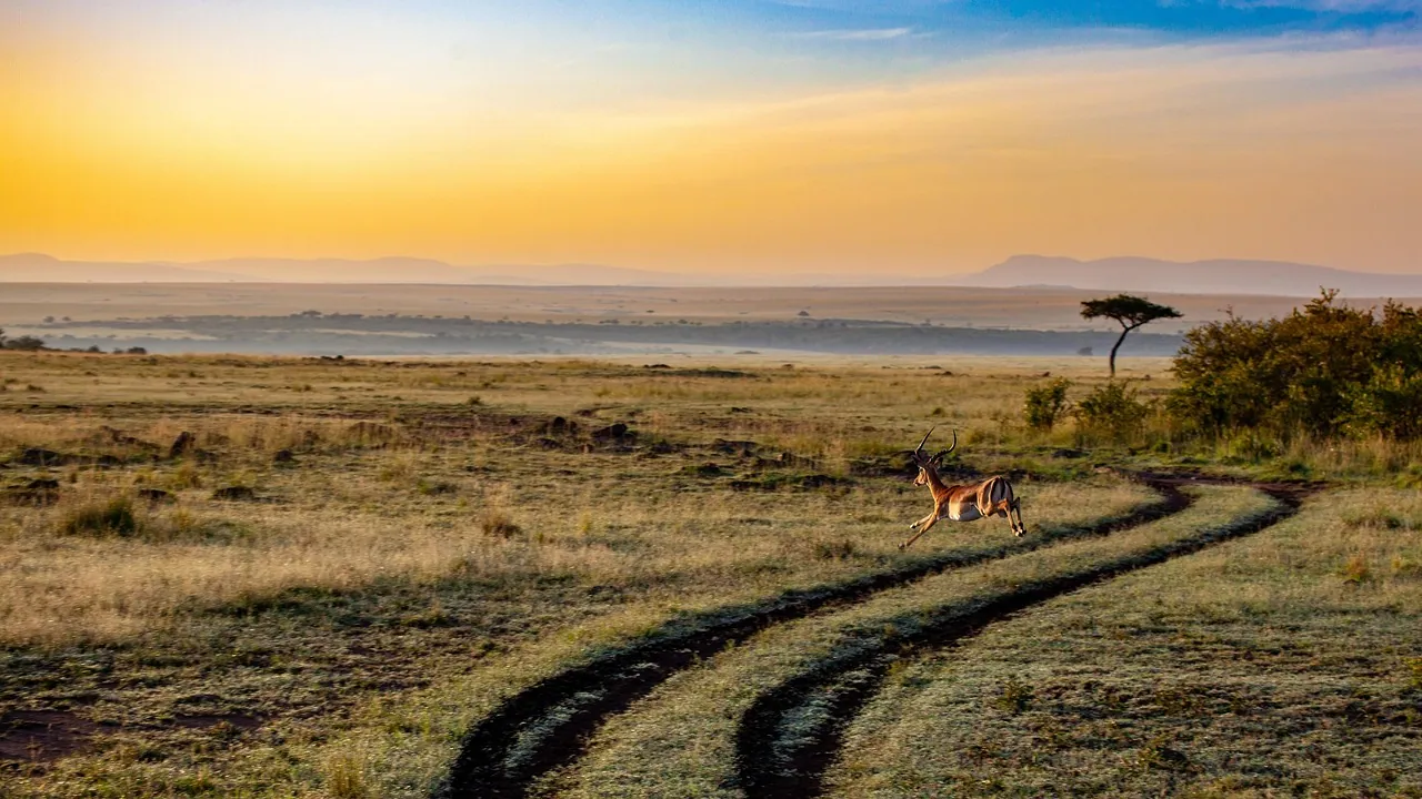Foto destinasi Kenya