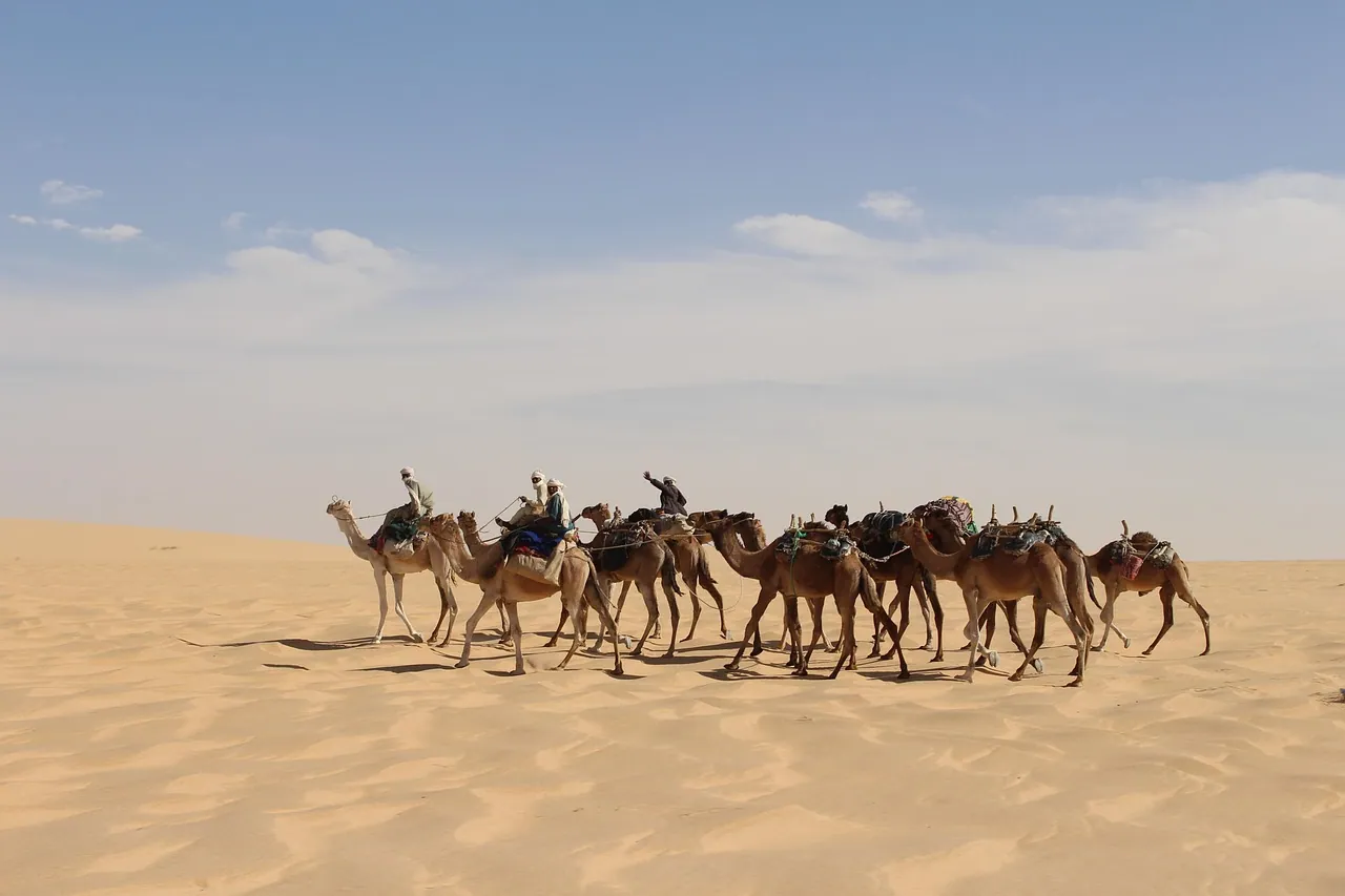 Foto destinasi Chad