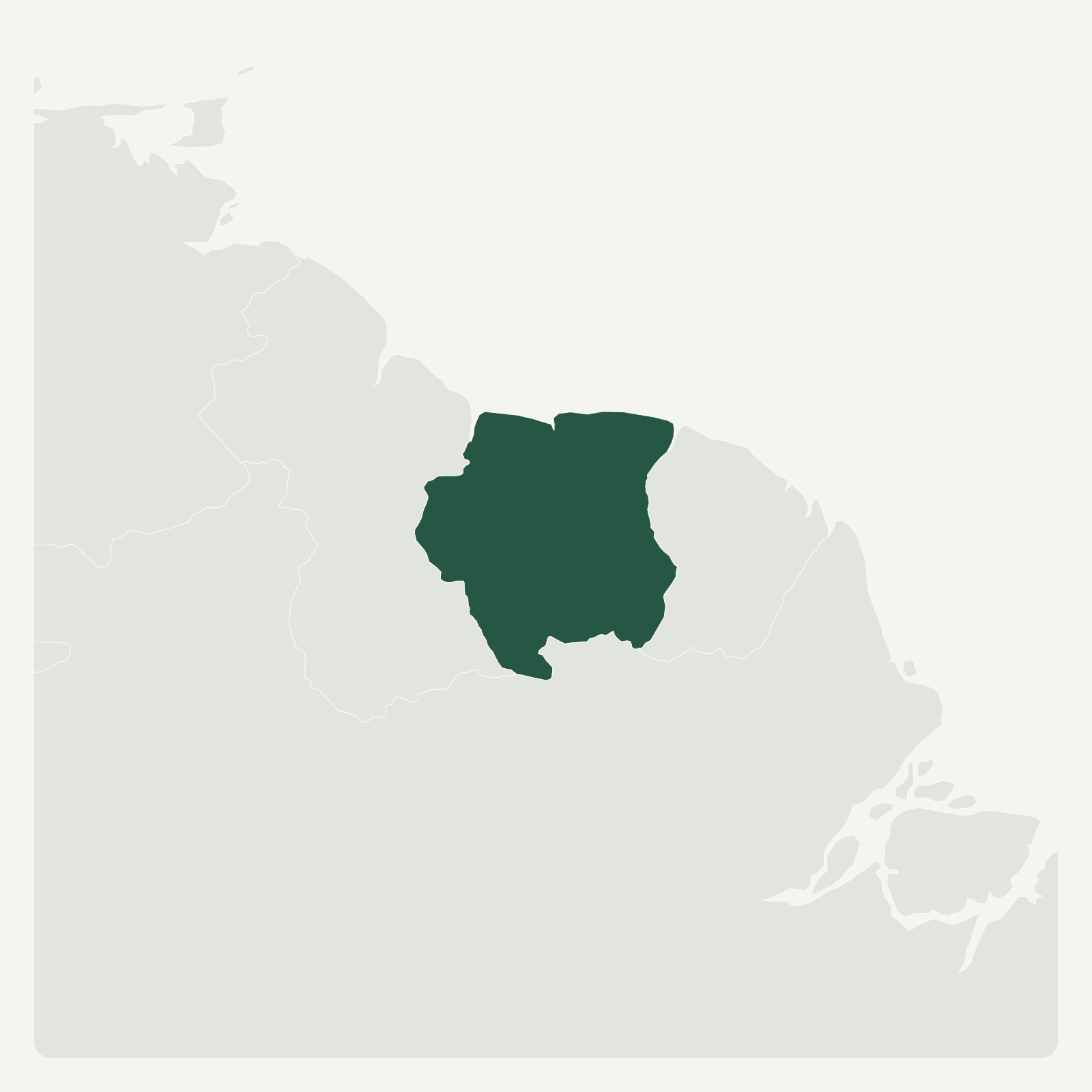 Gambaran geografi Surinam